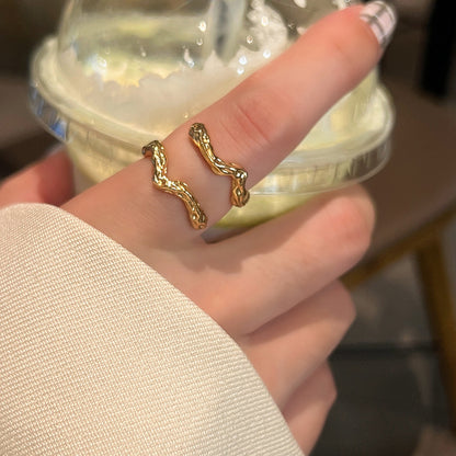 Korean version of the new cold wind irregular niche design metal wave shape girls open index finger ring accessories nugget earrings